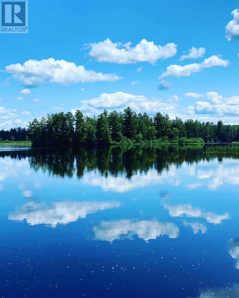 1 Erdmann Island, Atikokan, Ontario  P0T 1C0 - Photo 29 - TB250428