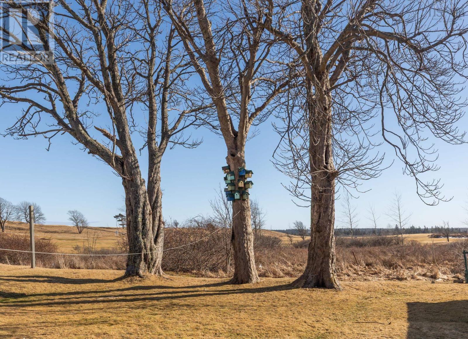 49 Kempt Street, Yarmouth, Nova Scotia  B5A 3Z8 - Photo 27 - 202504283