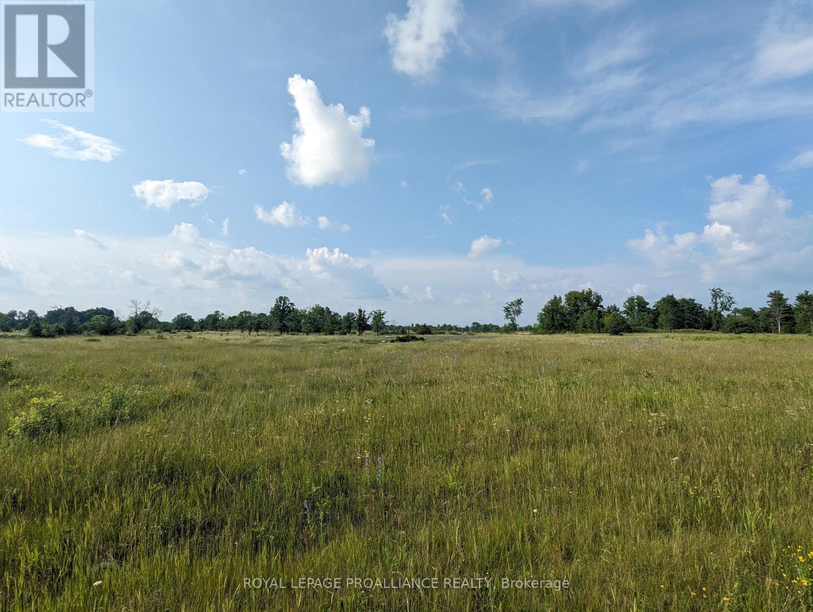 0 (A) Springbrook Road, Stirling-Rawdon (Rawdon Ward), Ontario  K0K 3C0 - Photo 2 - X12010447