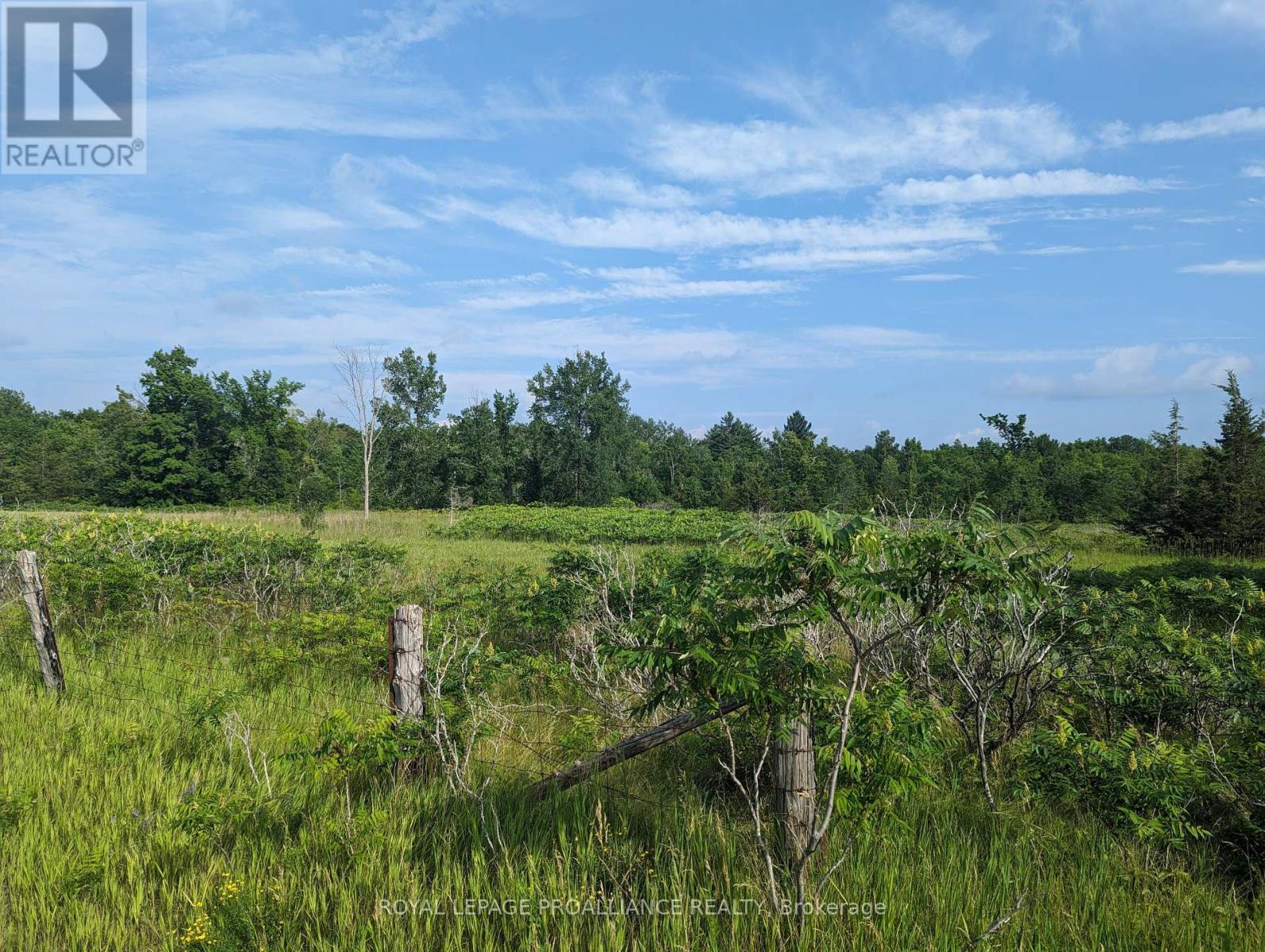 0 (A) Springbrook Road, Stirling-Rawdon (Rawdon Ward), Ontario  K0K 3C0 - Photo 3 - X12010447