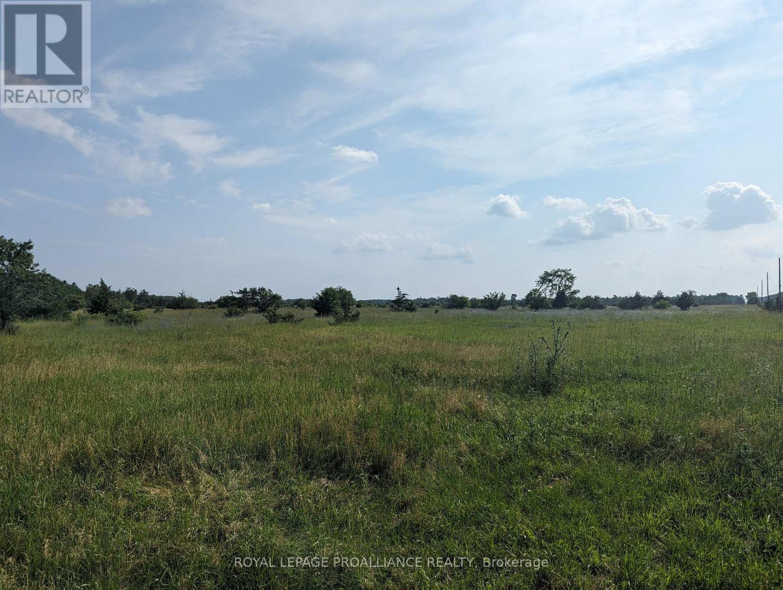 0 (A) Springbrook Road, Stirling-Rawdon (Rawdon Ward), Ontario  K0K 3C0 - Photo 4 - X12010447