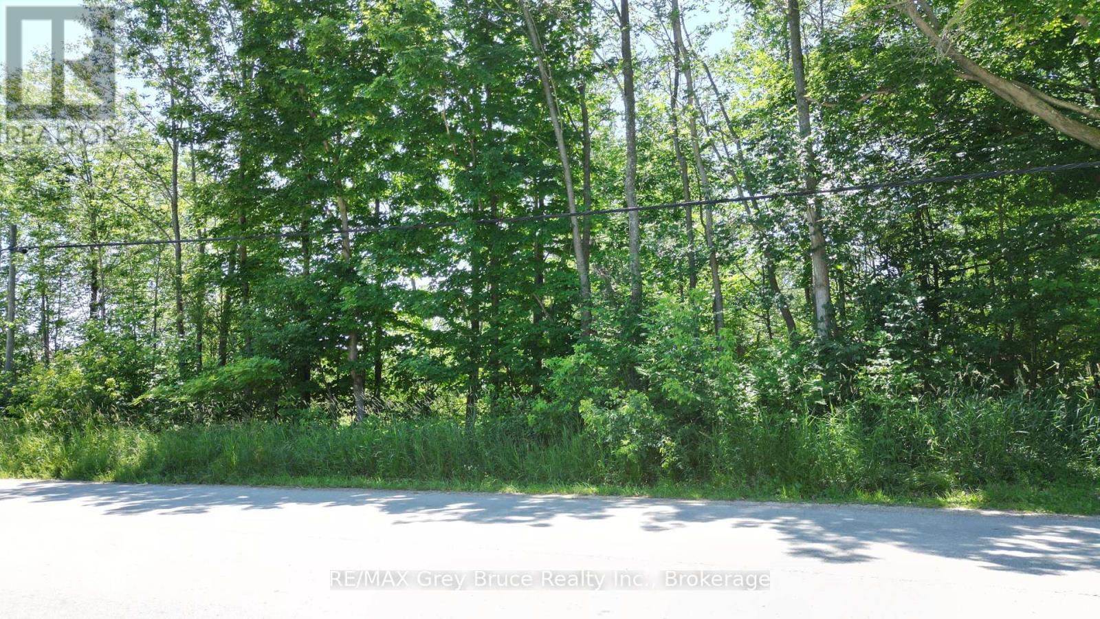Ptlt 25 Purple Valley Road, South Bruce Peninsula, Ontario  N0H 2T0 - Photo 12 - X12010709