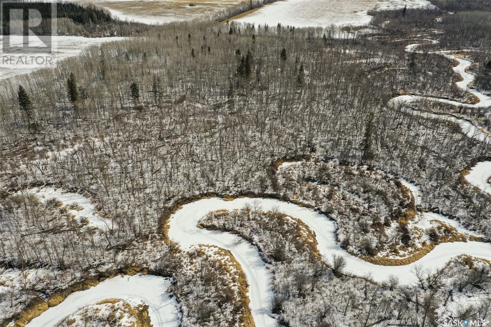 Collinson Land, Hudson Bay, Saskatchewan  S0E 0Y0 - Photo 6 - SK998486