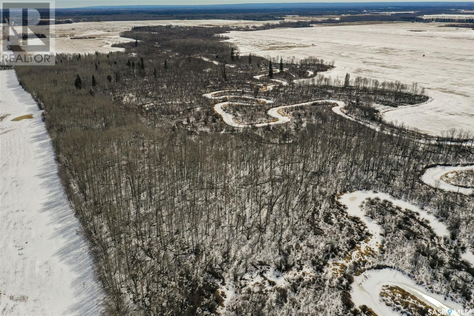 Collinson Land, Hudson Bay, Saskatchewan  S0E 0Y0 - Photo 7 - SK998486