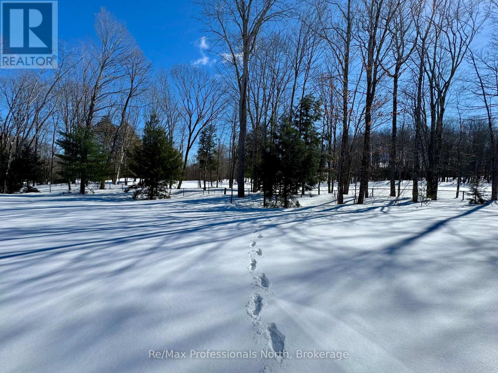 46 Stother Crescent, Bracebridge, Ontario  P1L 0G2 - Photo 45 - X12010787