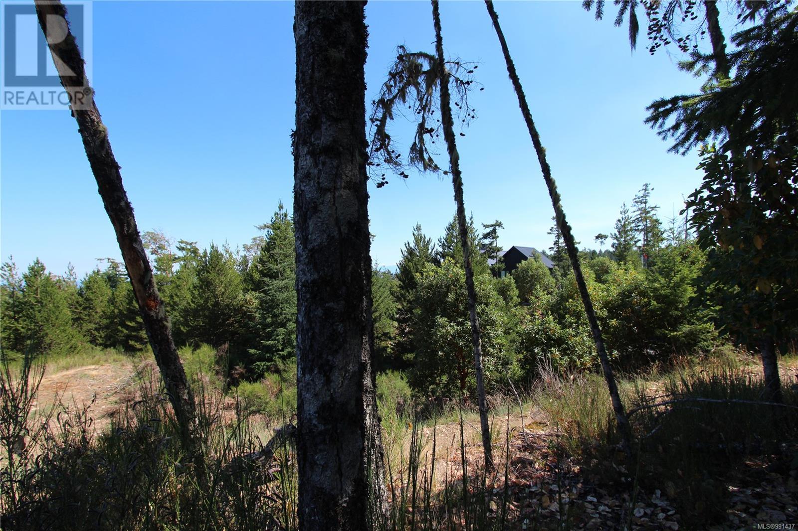 Lot 35 Goldstream Heights Dr, Shawnigan Lake, British Columbia  V0R 2W3 - Photo 5 - 991437