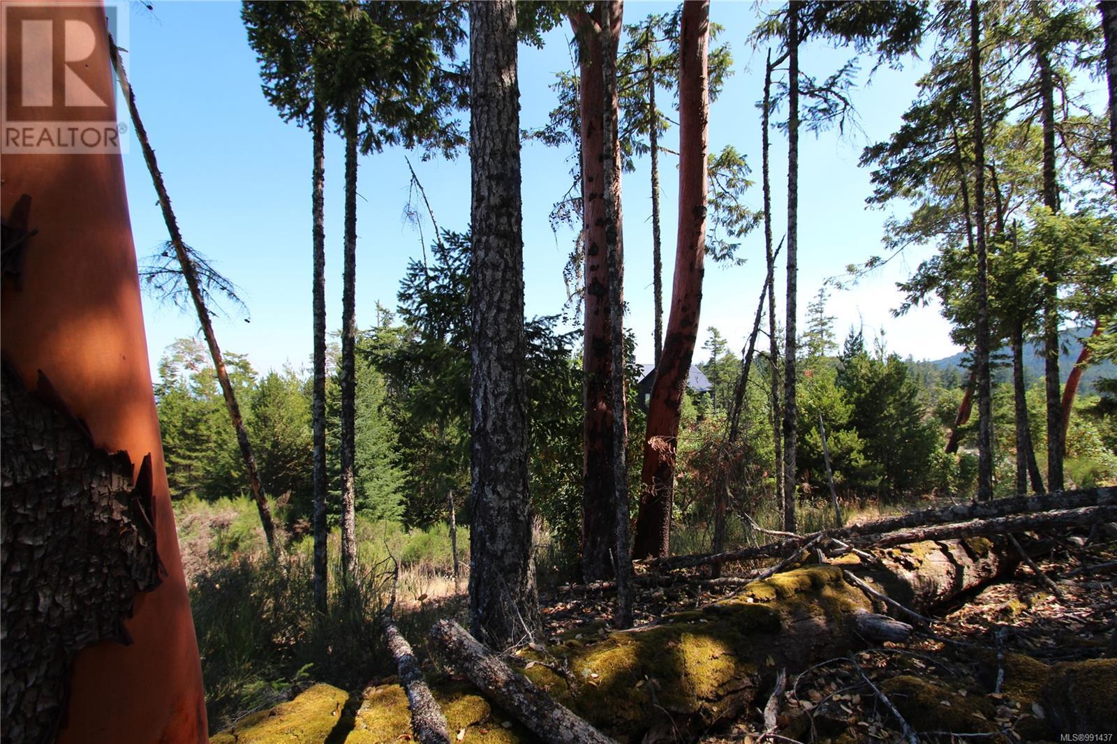 Lot 35 Goldstream Heights Dr, Shawnigan Lake, British Columbia  V0R 2W3 - Photo 31 - 991437