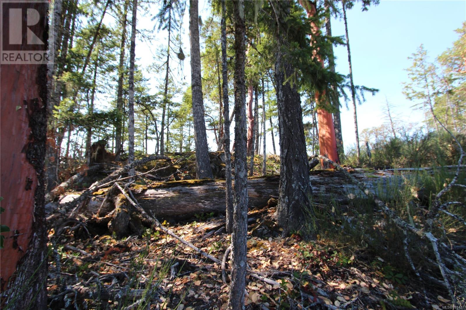Lot 35 Goldstream Heights Dr, Shawnigan Lake, British Columbia  V0R 2W3 - Photo 15 - 991437