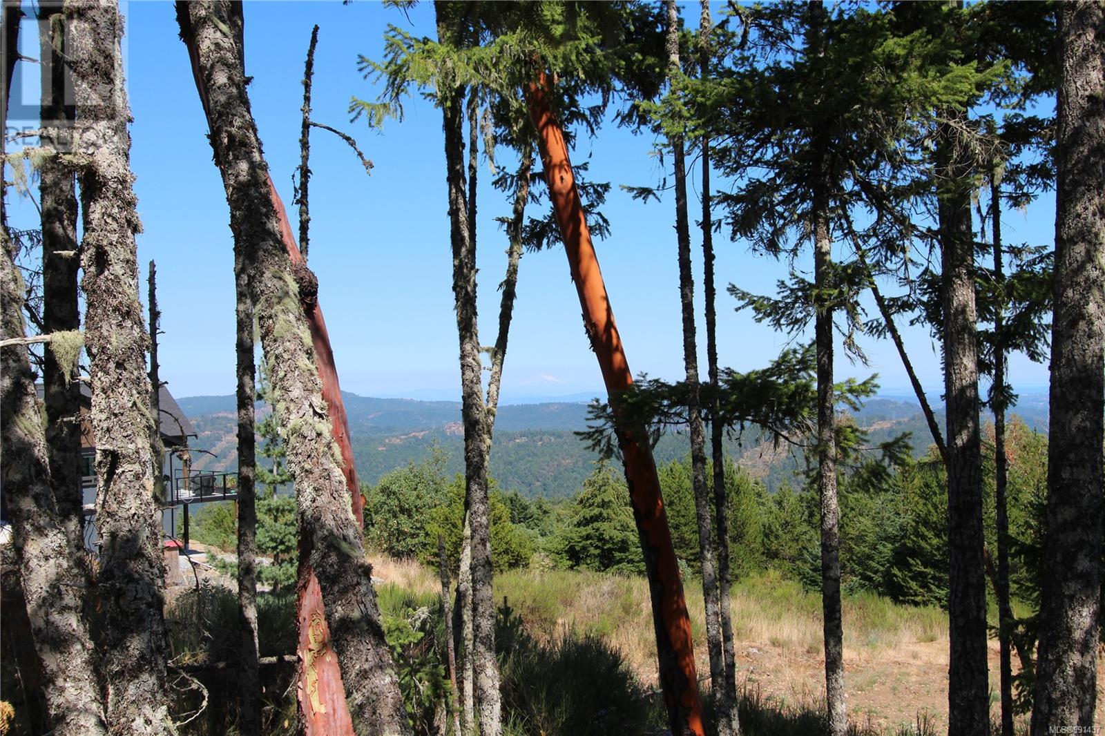 Lot 35 Goldstream Heights Dr, Shawnigan Lake, British Columbia  V0R 2W3 - Photo 37 - 991437