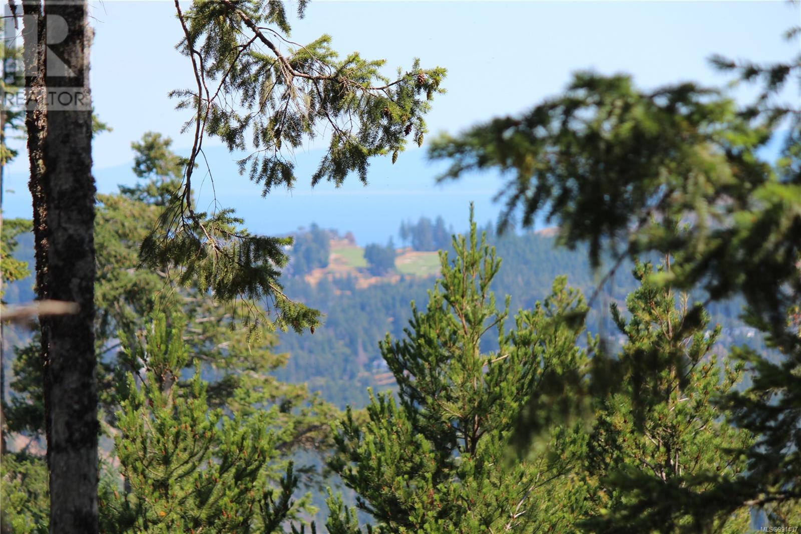 Lot 35 Goldstream Heights Dr, Shawnigan Lake, British Columbia  V0R 2W3 - Photo 39 - 991437