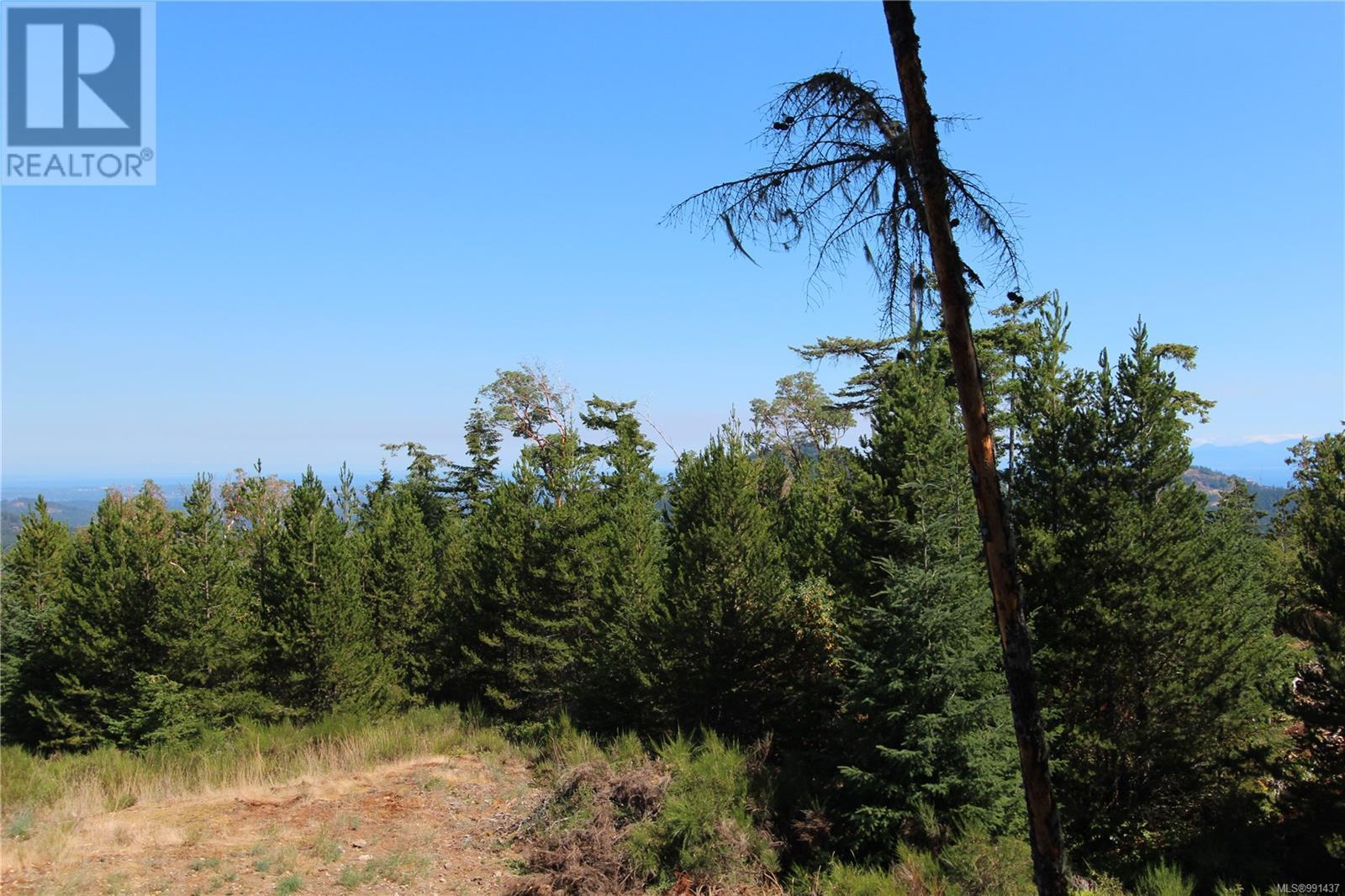 Lot 35 Goldstream Heights Dr, Shawnigan Lake, British Columbia  V0R 2W3 - Photo 25 - 991437