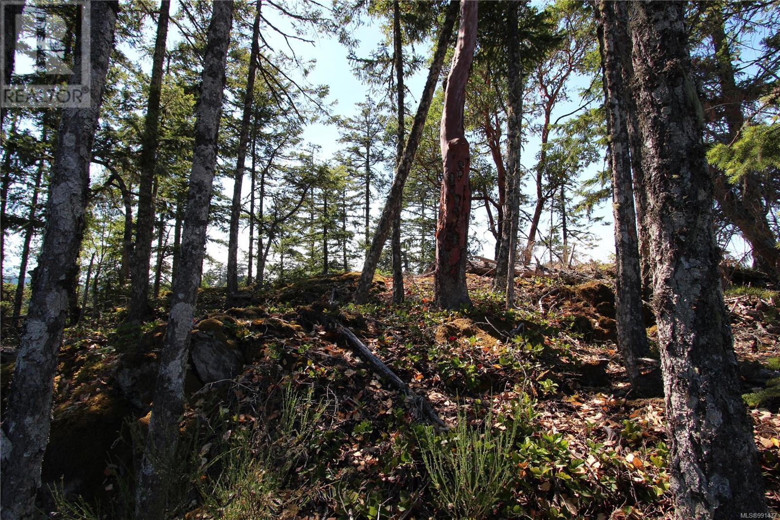 Lot 35 Goldstream Heights Dr, Shawnigan Lake, British Columbia  V0R 2W3 - Photo 30 - 991437
