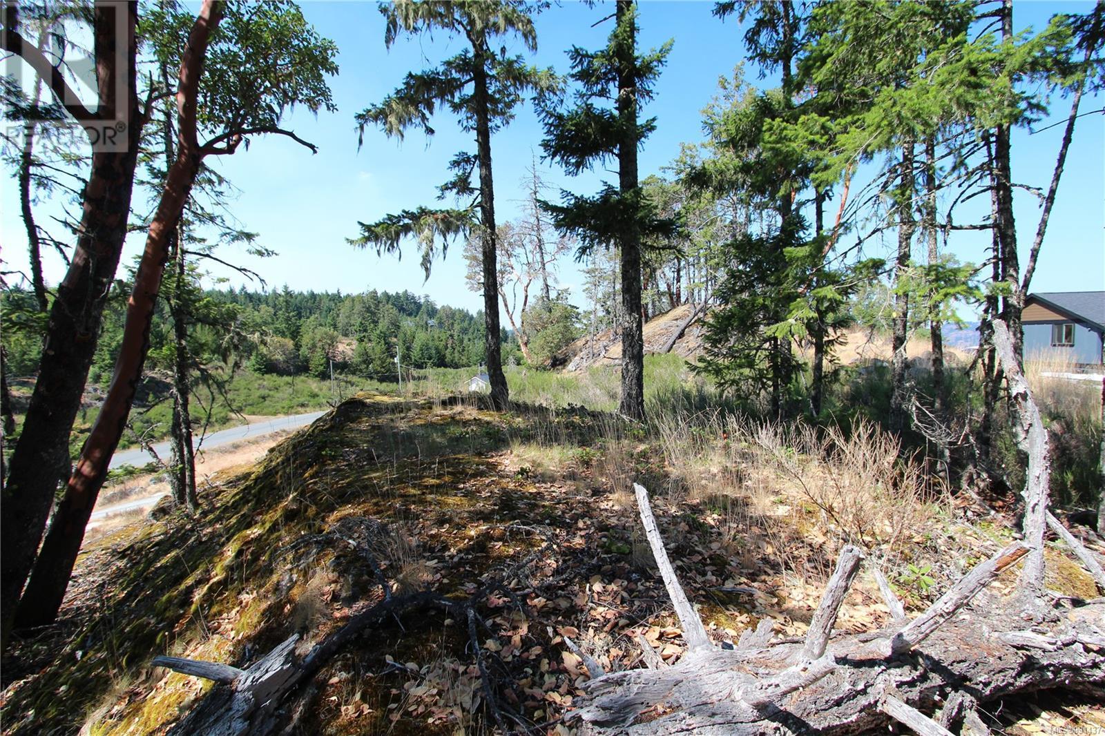 Lot 35 Goldstream Heights Dr, Shawnigan Lake, British Columbia  V0R 2W3 - Photo 38 - 991437