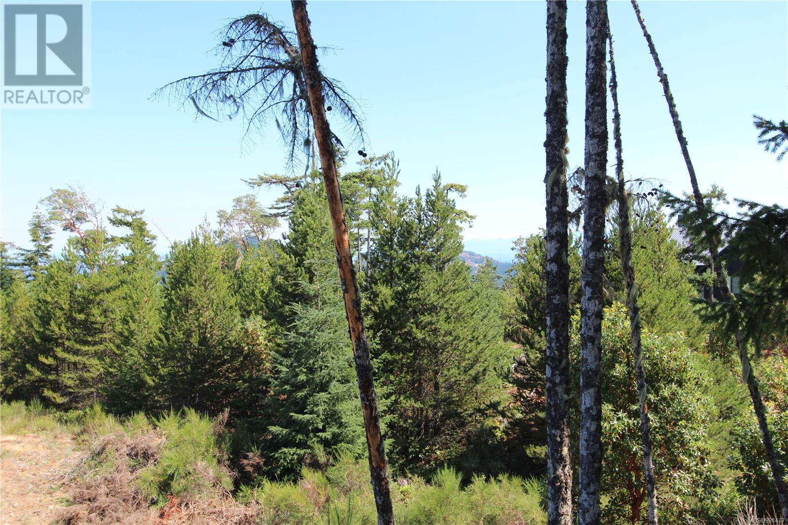 Lot 35 Goldstream Heights Dr, Shawnigan Lake, British Columbia  V0R 2W3 - Photo 26 - 991437