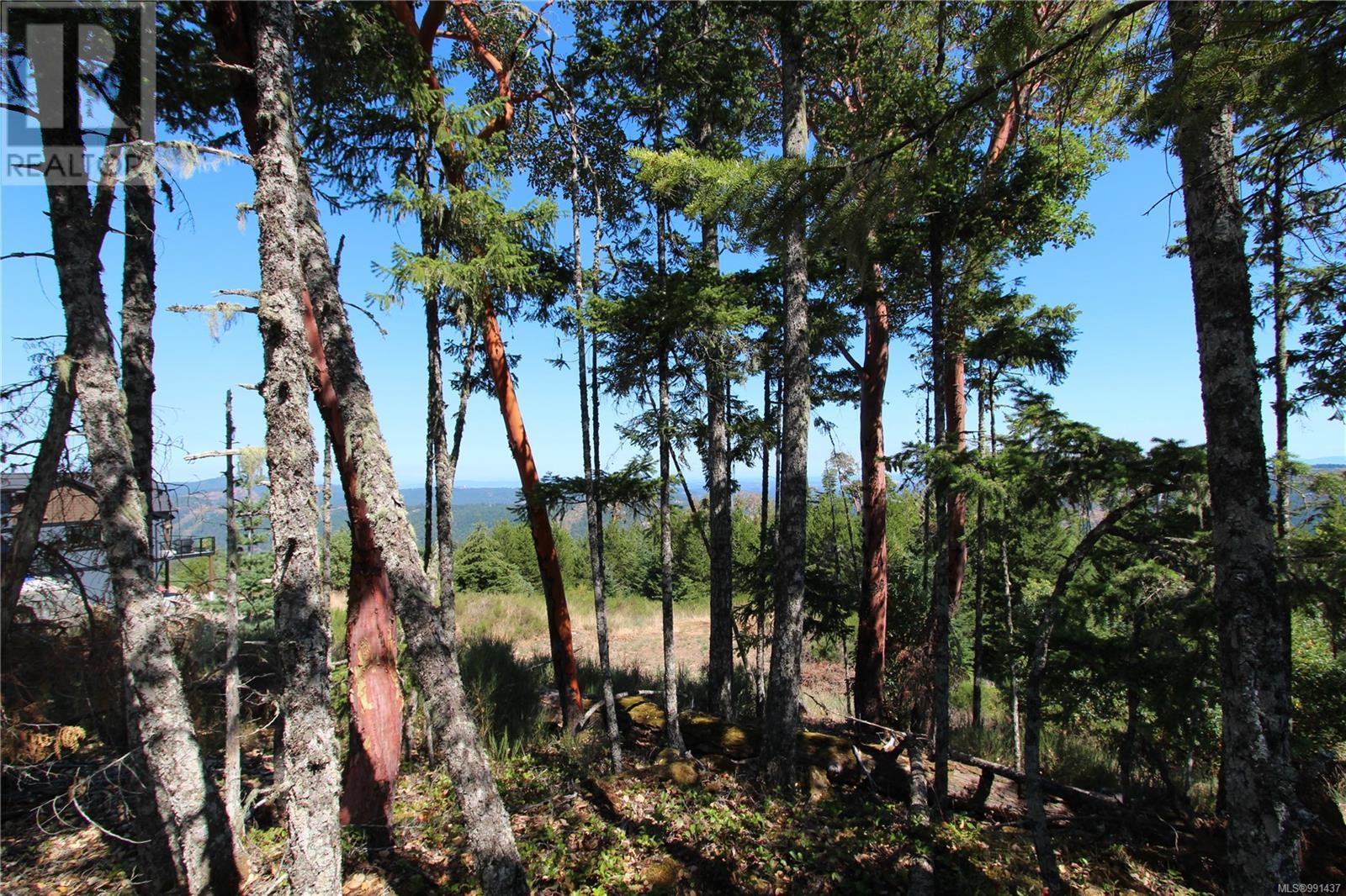 Lot 35 Goldstream Heights Dr, Shawnigan Lake, British Columbia  V0R 2W3 - Photo 34 - 991437