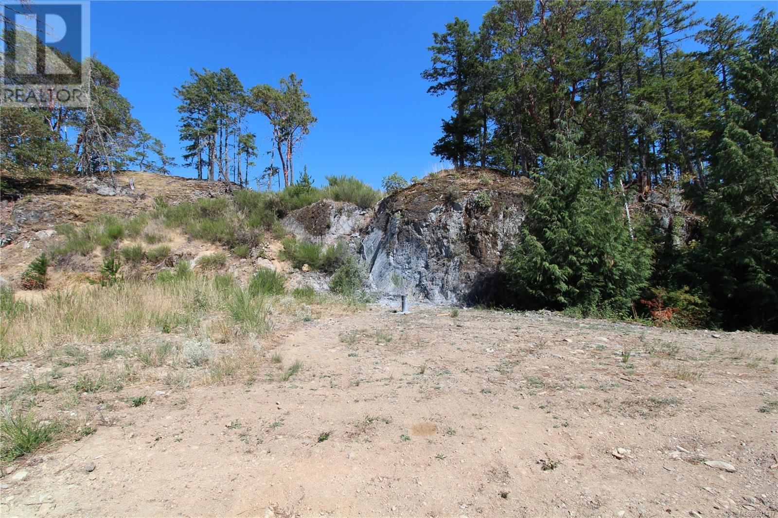Lot 35 Goldstream Heights Dr, Shawnigan Lake, British Columbia  V0R 2W3 - Photo 8 - 991437