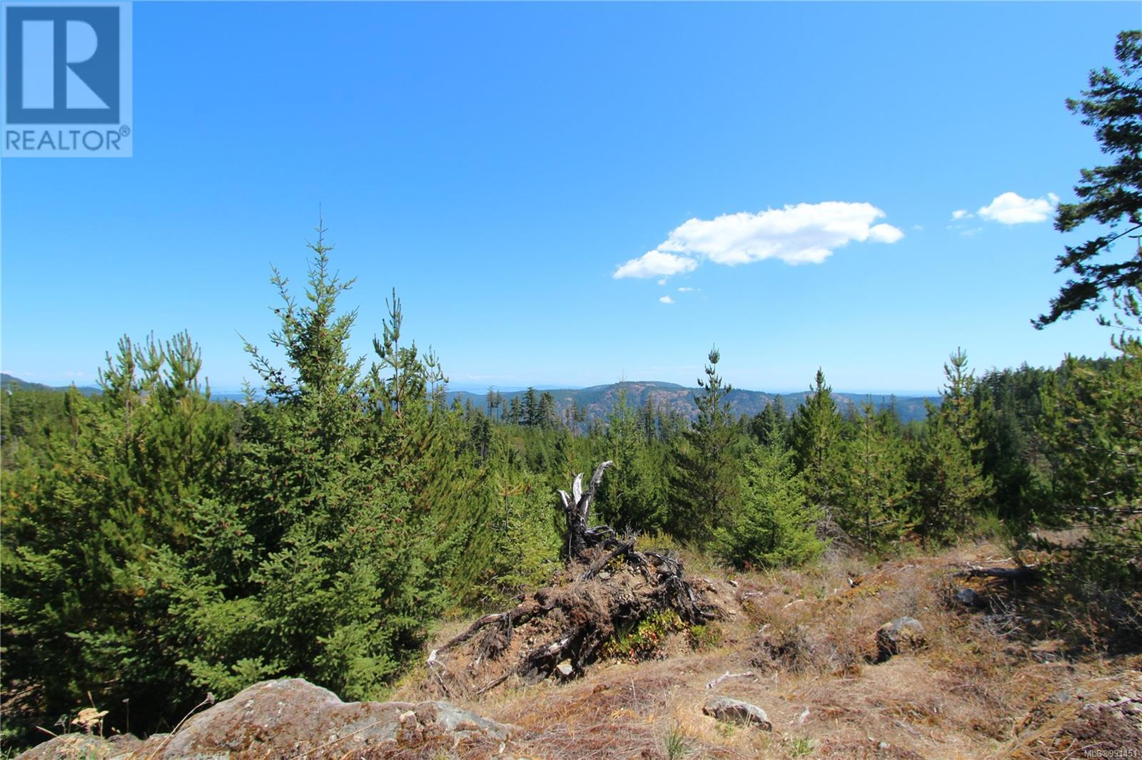 Lot G Goldstream Heights Dr, Shawnigan Lake, British Columbia  V0R 2W3 - Photo 9 - 991451