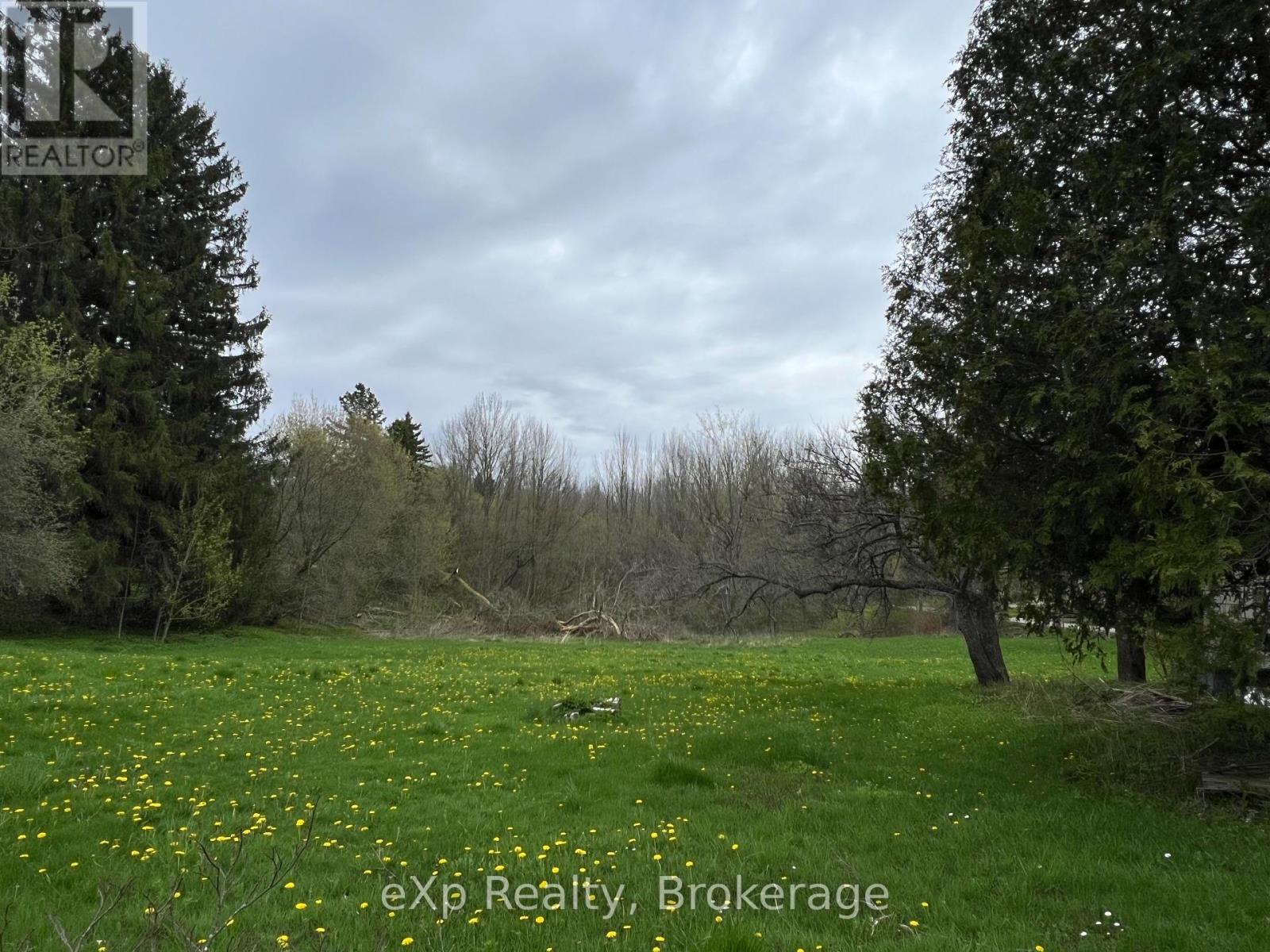 791 23rd Street W, Owen Sound, Ontario  N4K 4H4 - Photo 12 - X12011096