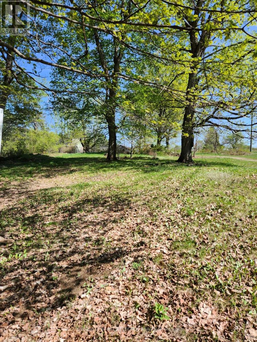 25442 Highway 62 Highway, Bancroft (Dungannon Ward), Ontario  K0L 2L0 - Photo 29 - X12011186