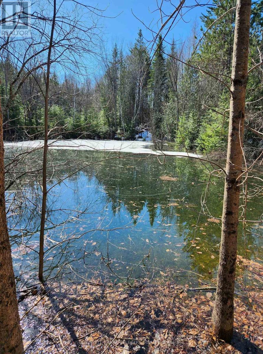 25442 Highway 62 Highway, Bancroft (Dungannon Ward), Ontario  K0L 2L0 - Photo 4 - X12011186