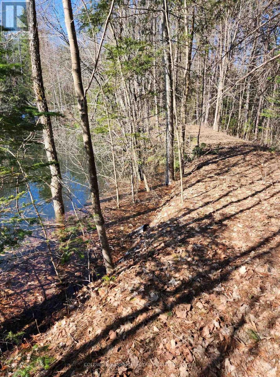 25442 Highway 62 Highway, Bancroft (Dungannon Ward), Ontario  K0L 2L0 - Photo 6 - X12011186