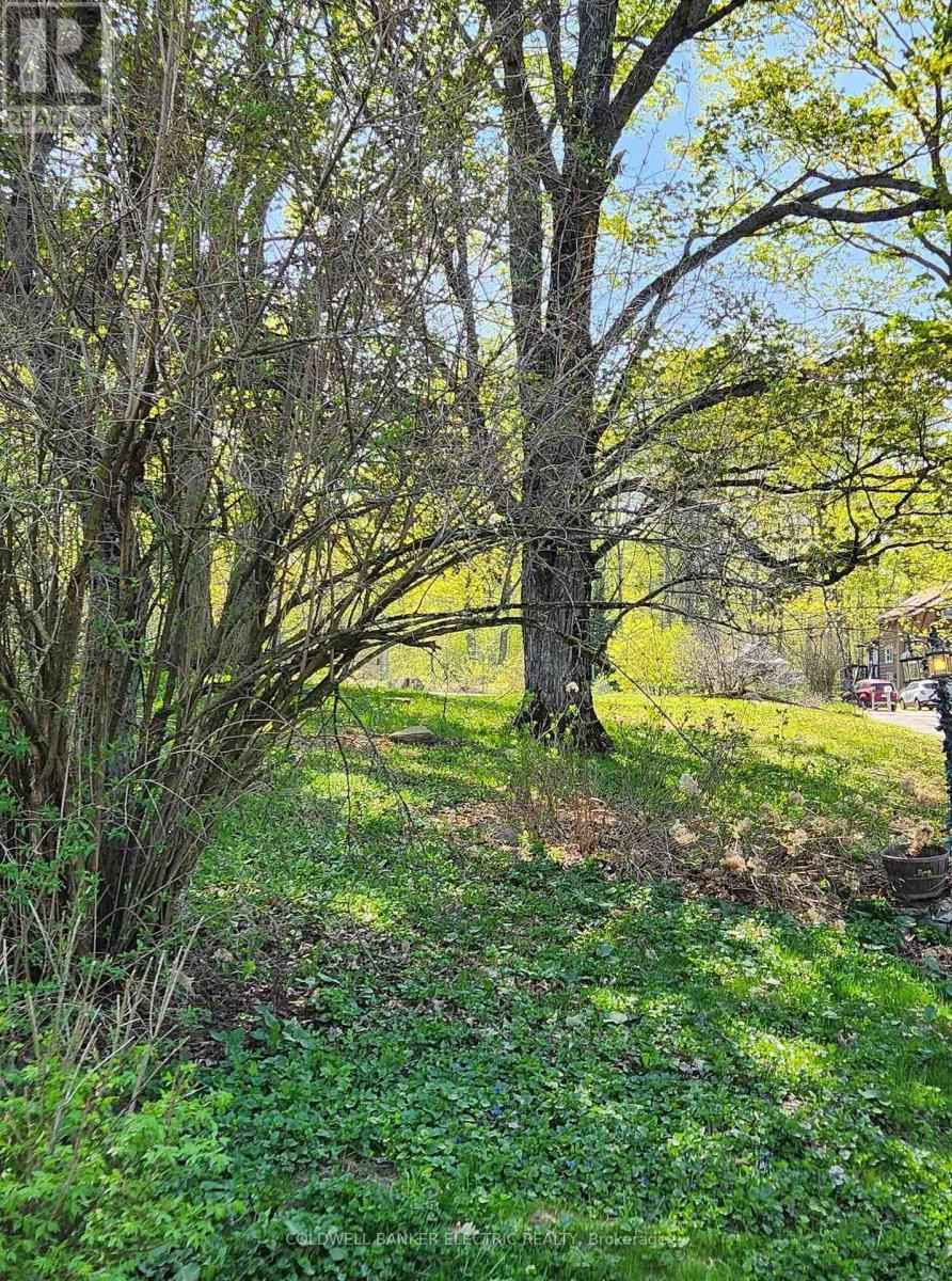 25442 Highway 62 Highway, Bancroft (Dungannon Ward), Ontario  K0L 2L0 - Photo 9 - X12011186