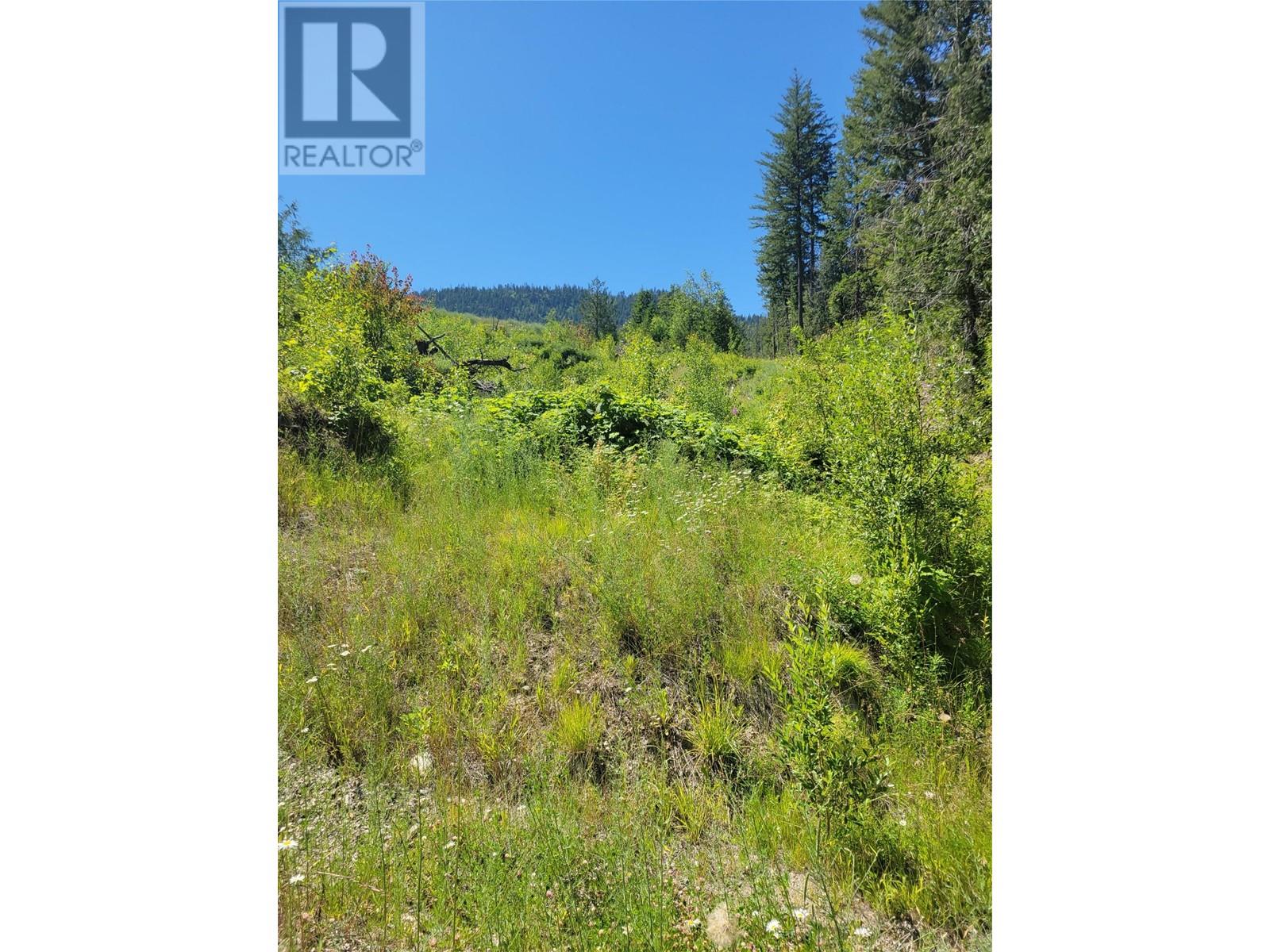 941 Chase Falkland Road, Chase, British Columbia  V0E 1M0 - Photo 11 - 10338272