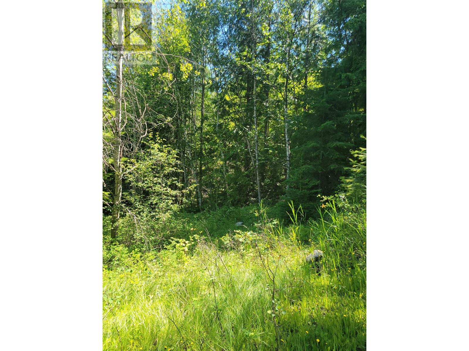 941 Chase Falkland Road, Chase, British Columbia  V0E 1M0 - Photo 12 - 10338272