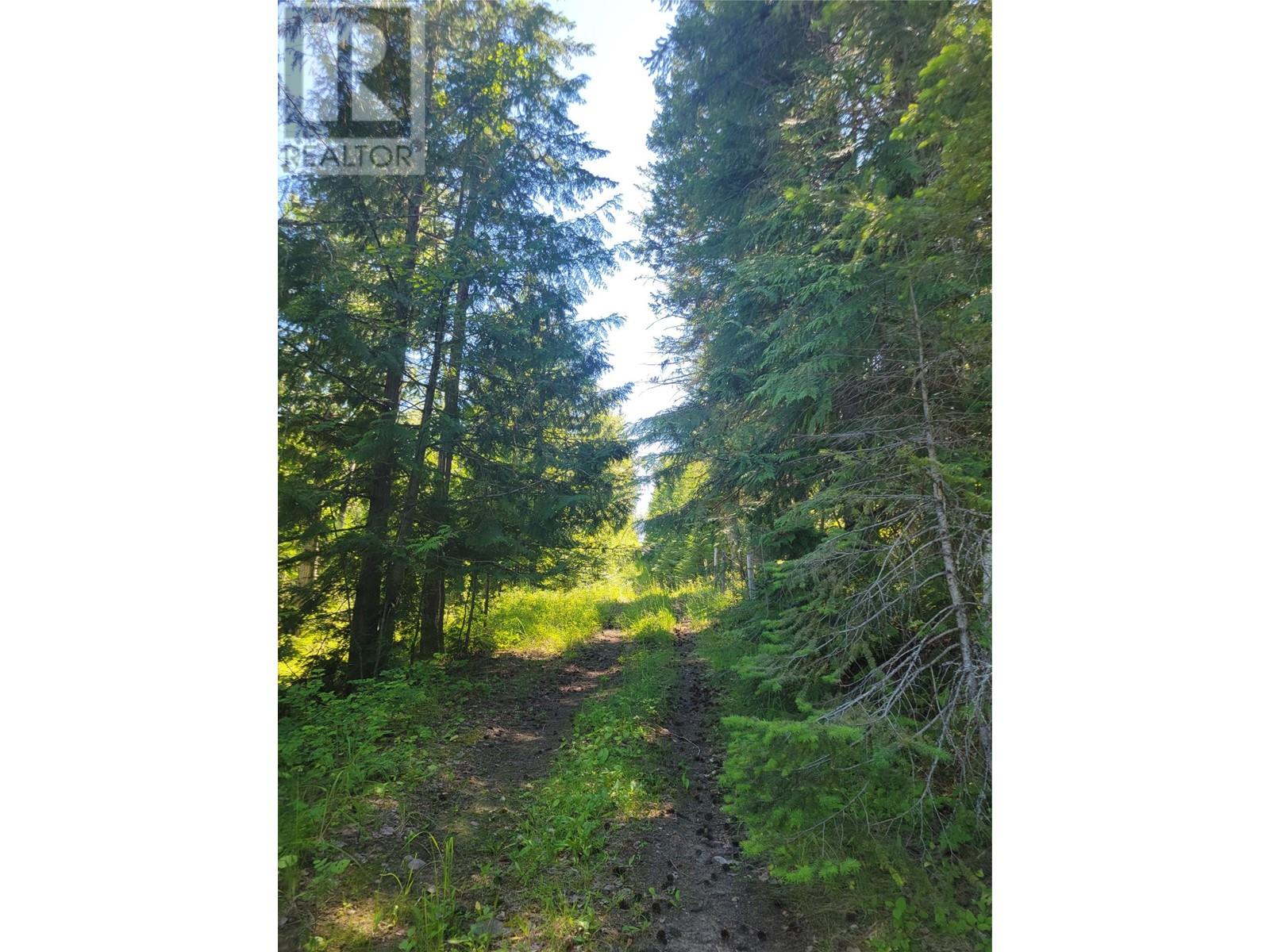 941 Chase Falkland Road, Chase, British Columbia  V0E 1M0 - Photo 13 - 10338272