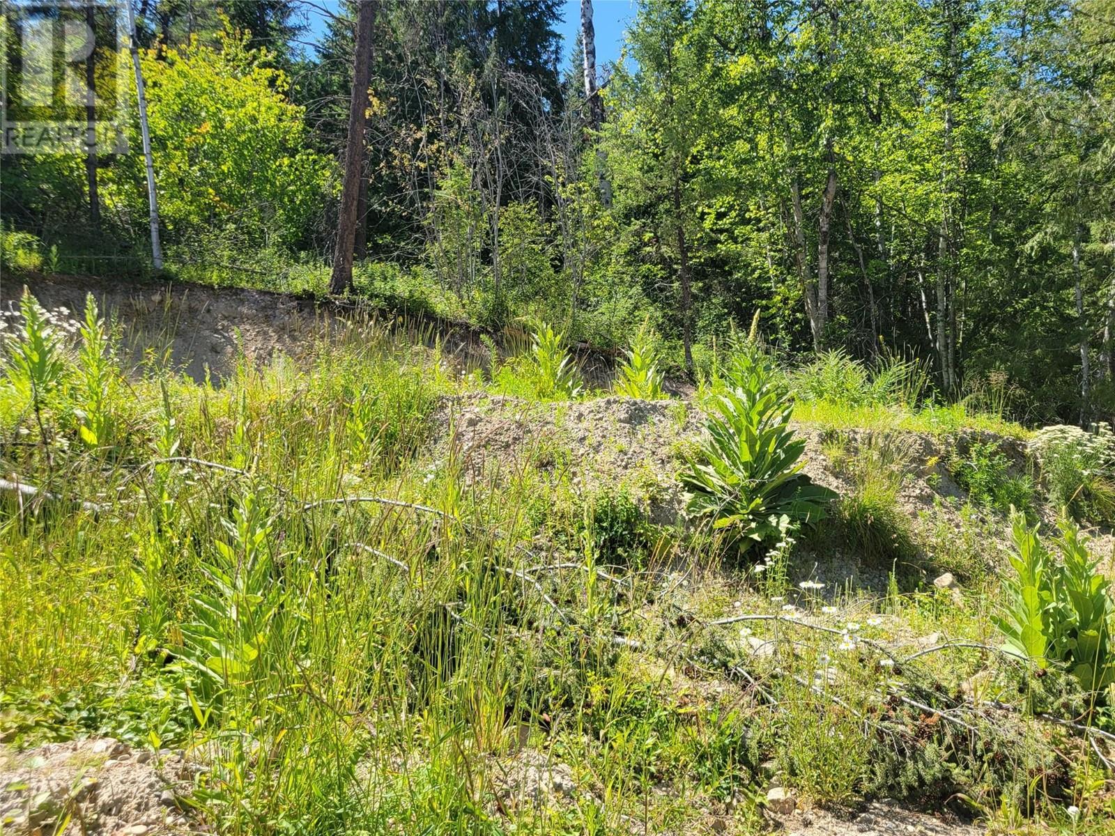 941 Chase Falkland Road, Chase, British Columbia  V0E 1M0 - Photo 16 - 10338272