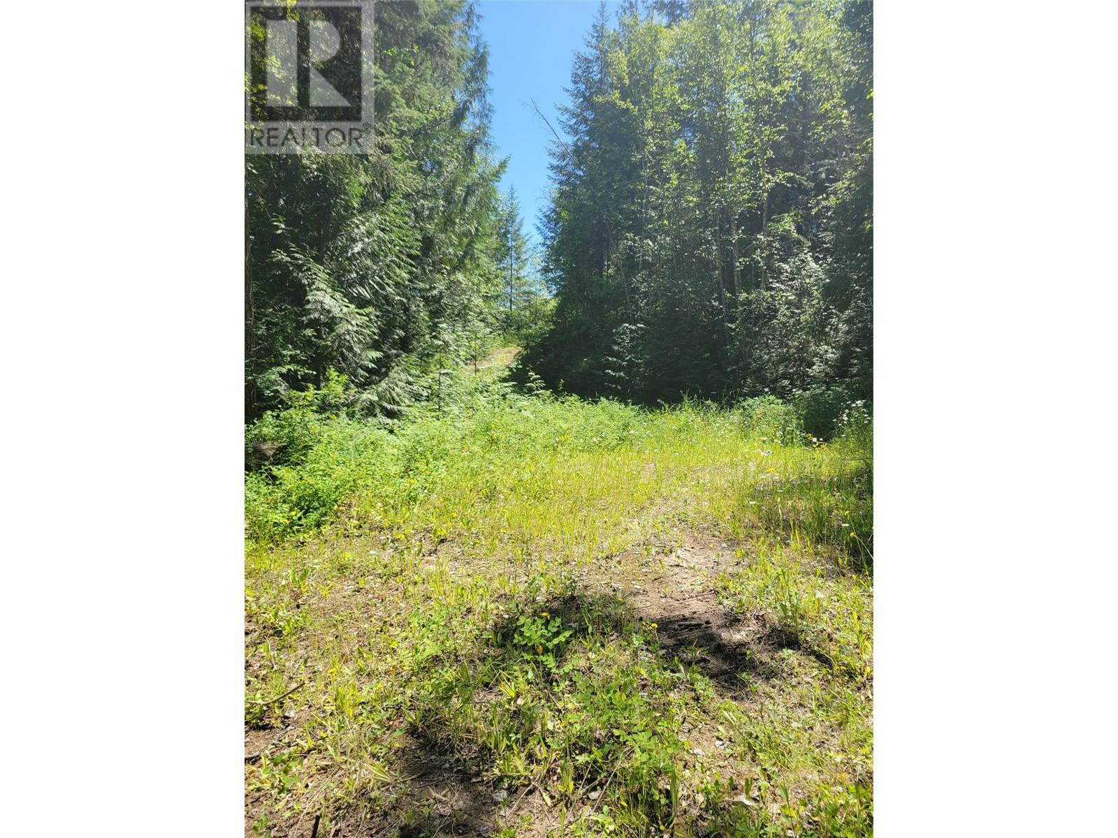 941 Chase Falkland Road, Chase, British Columbia  V0E 1M0 - Photo 8 - 10338272