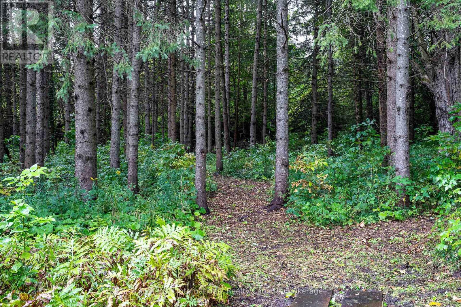 5 Purple Hill Lane, Clearview, Ontario  L0M 1G0 - Photo 40 - S12011452