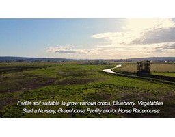 4441 176 STREET, Surrey, British Columbia