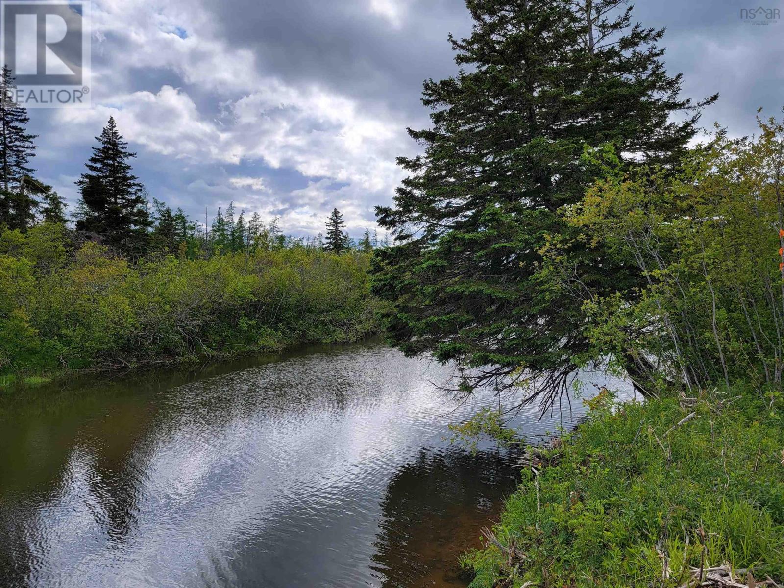 Barren Road, River Denys, Nova Scotia  B0E 2Y0 - Photo 6 - 202504558