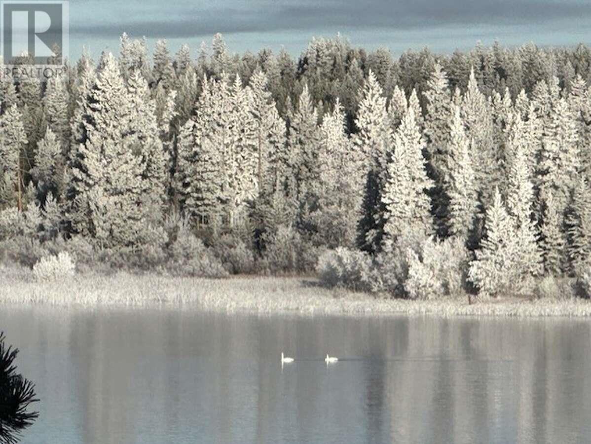 1909 Otter Road, Williams Lake, British Columbia  V0L 1R0 - Photo 12 - R2972091