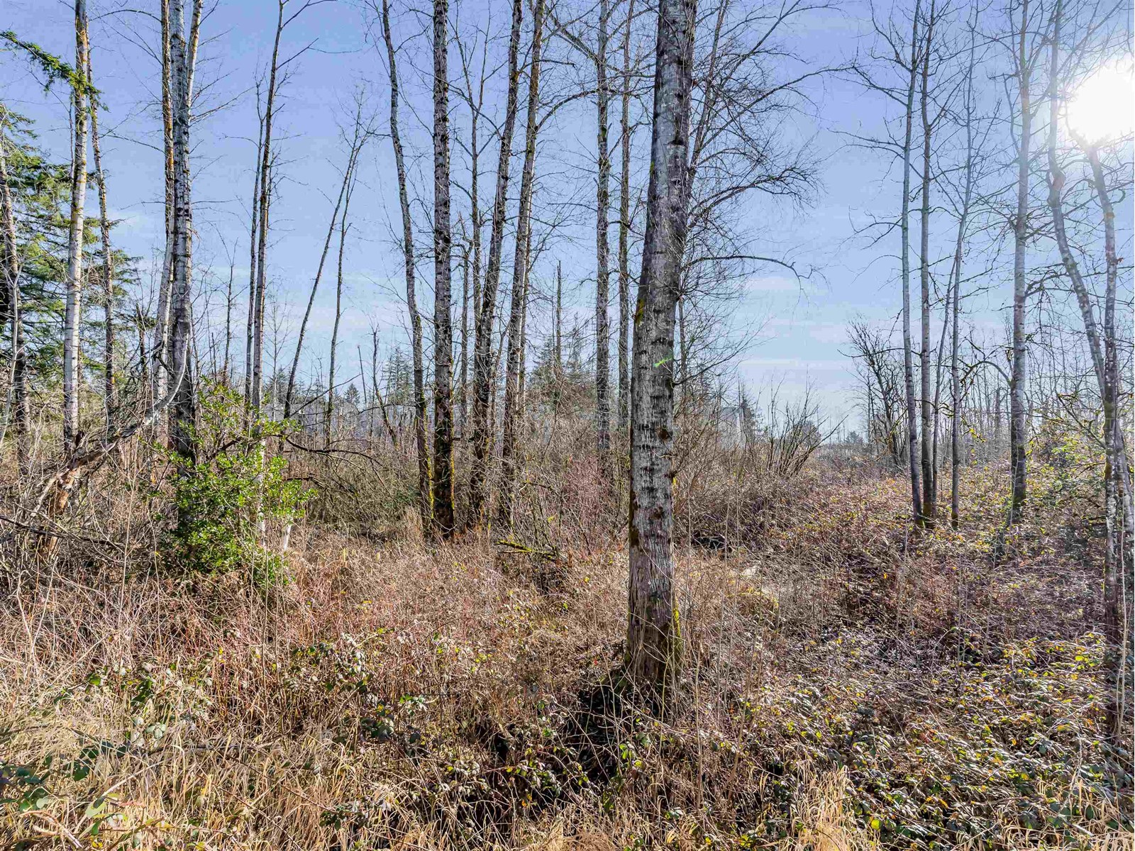 70 20327 72b Avenue, Langley, British Columbia  V2Y 4J6 - Photo 28 - R2975340