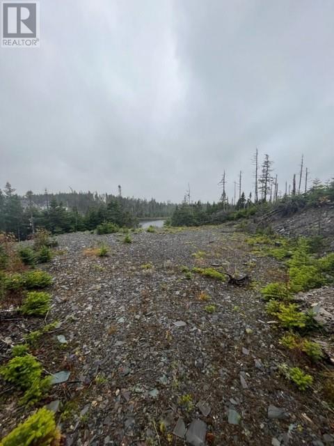Lot 31 Prison Camp Road Tommy Penney 7th Pond, Salmonier Line Newfoundland & Labrador Canada A1A1A1, for Sale, residential, Haris Barki, Keller Williams Platinum Realty