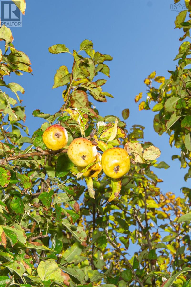 6656 Highway 1, St. Alphonse, Nova Scotia  B0W 2J0 - Photo 26 - 202500243