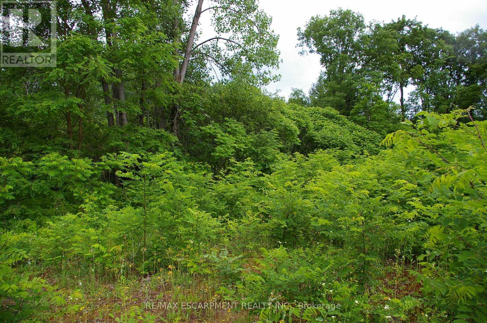 0 Old Montreal Road, Ottawa, Ontario  K4C 1C8 - Photo 11 - X12011868