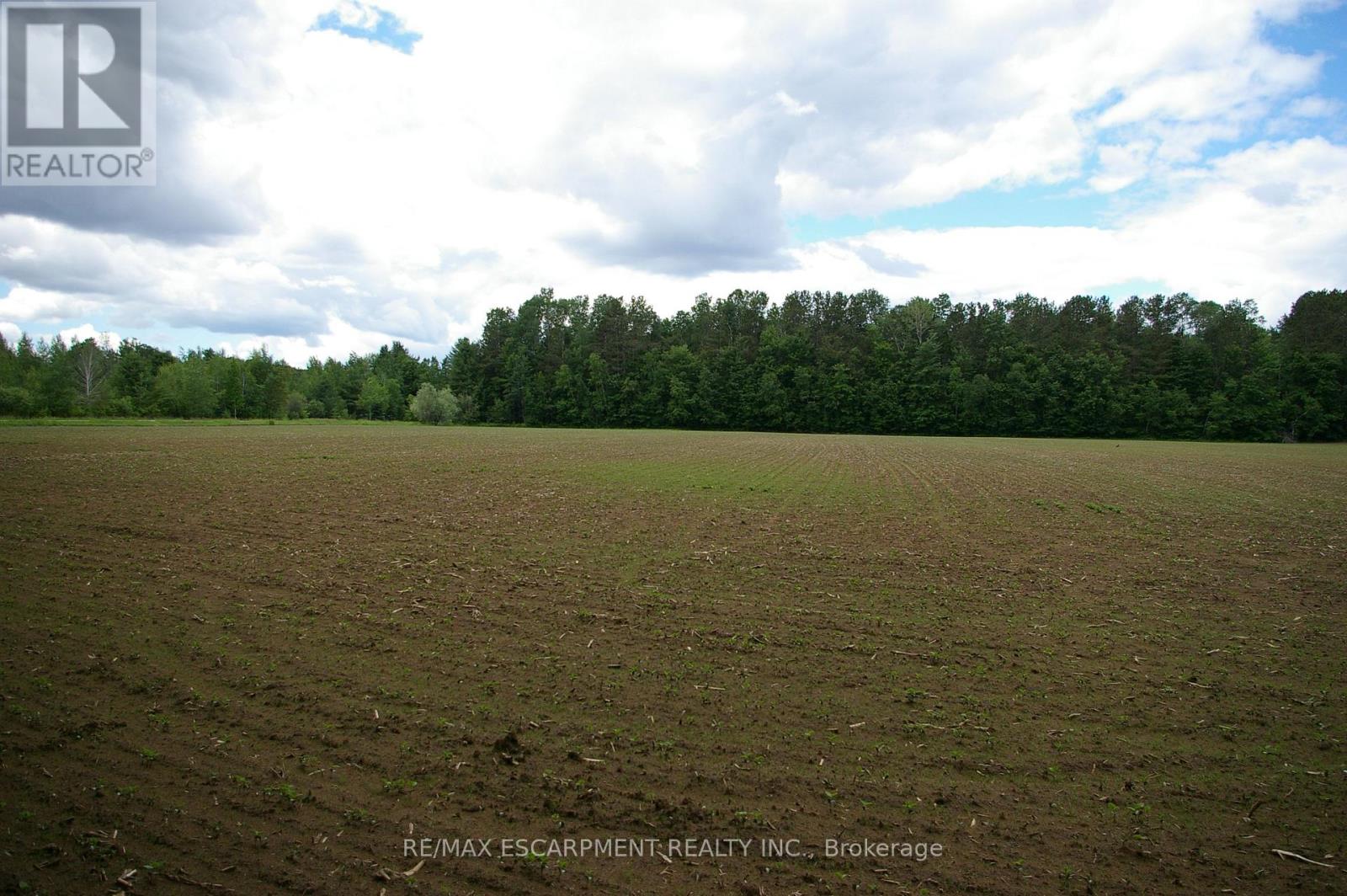 0 Old Montreal Road, Ottawa, Ontario  K4C 1C8 - Photo 15 - X12011868