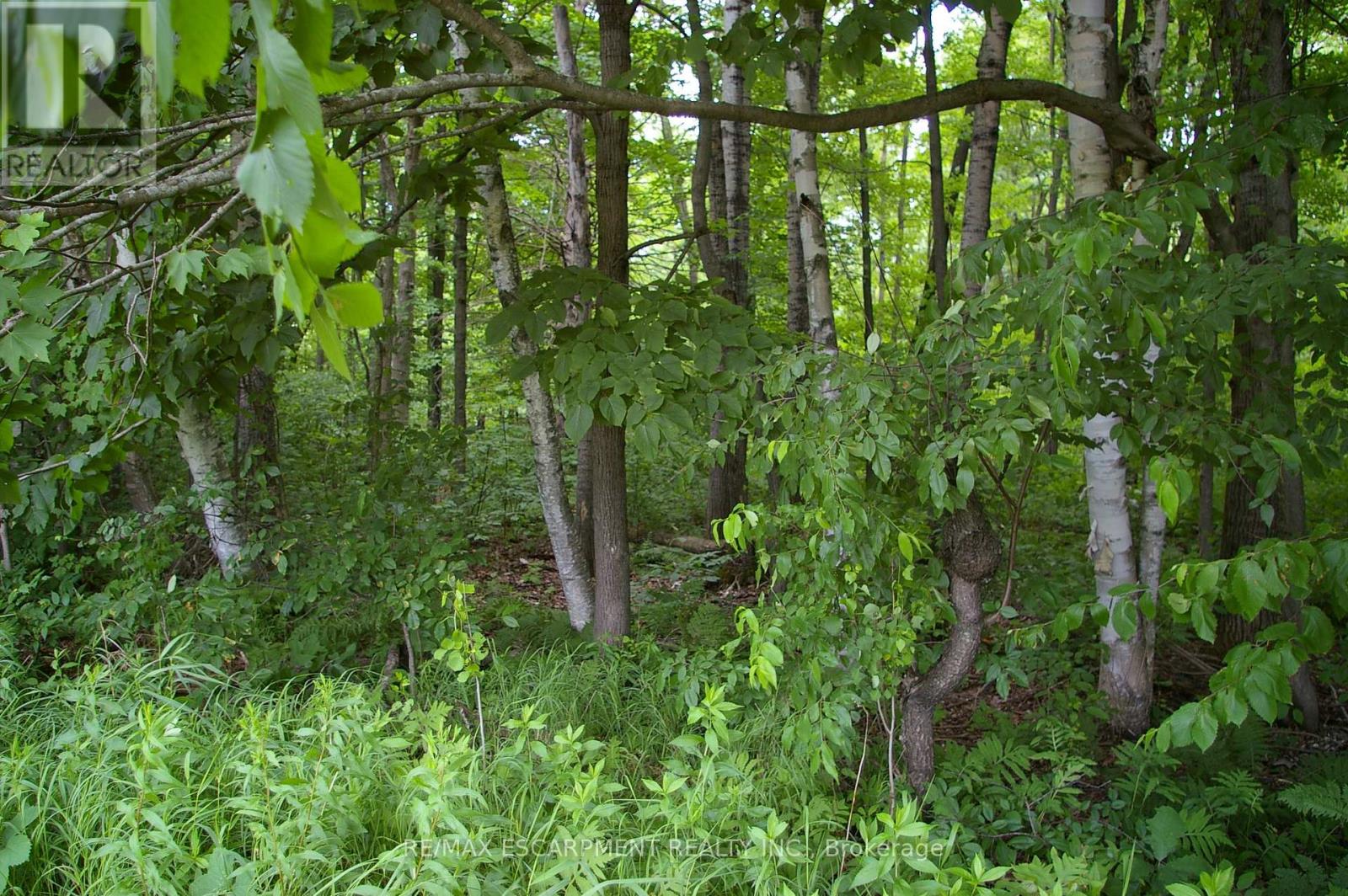 0 Old Montreal Road, Ottawa, Ontario  K4C 1C8 - Photo 19 - X12011868