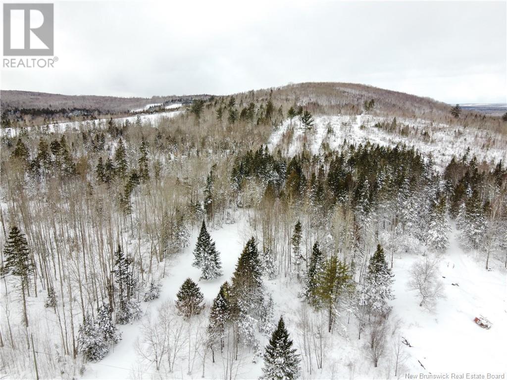 451 Upper Skiff Lake Road, Dead Creek, New Brunswick  E6H 1T1 - Photo 13 - NB113738