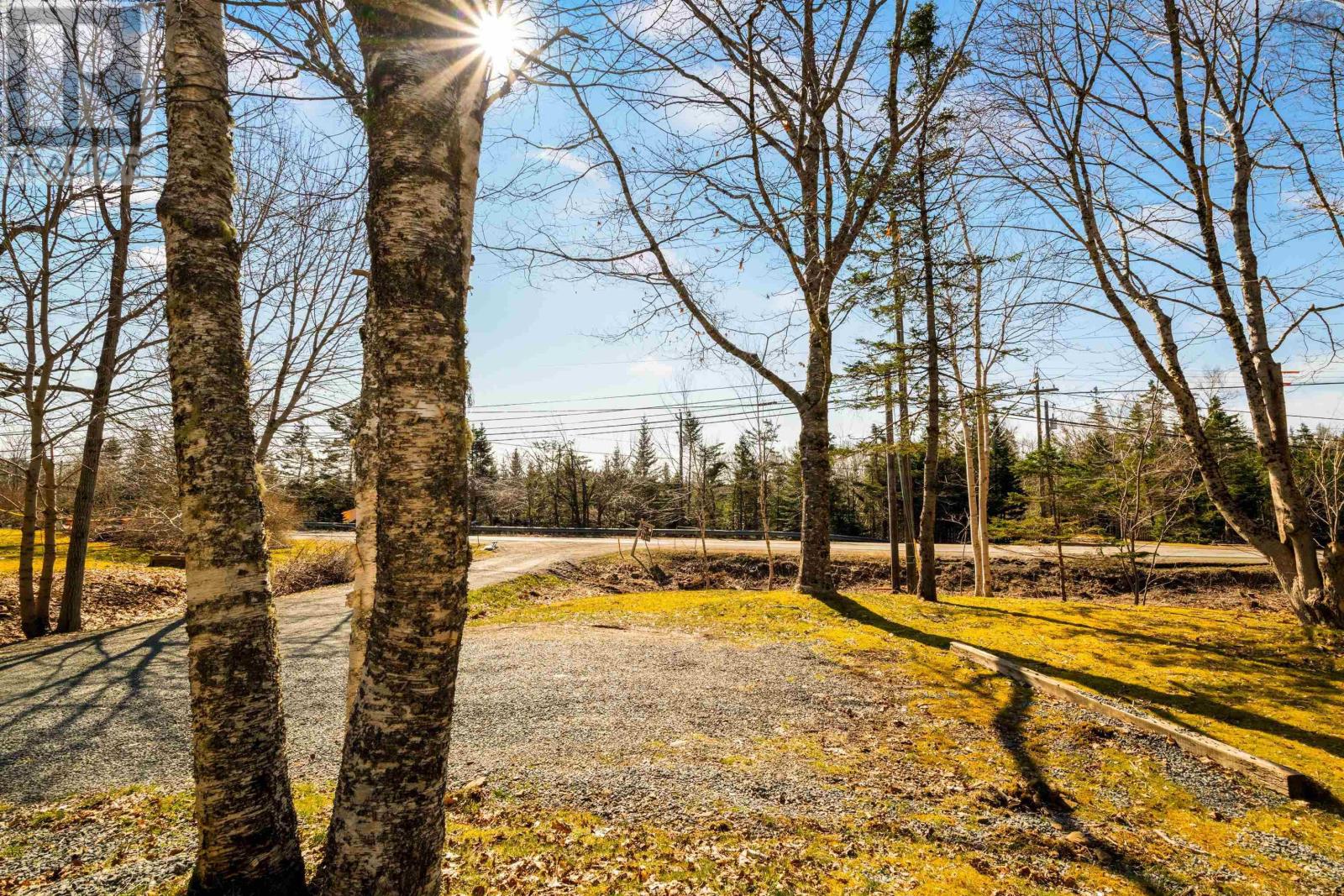 8099 Highway 7 Highway, Musquodoboit Harbour, Nova Scotia  B0J 2L0 - Photo 34 - 202502662