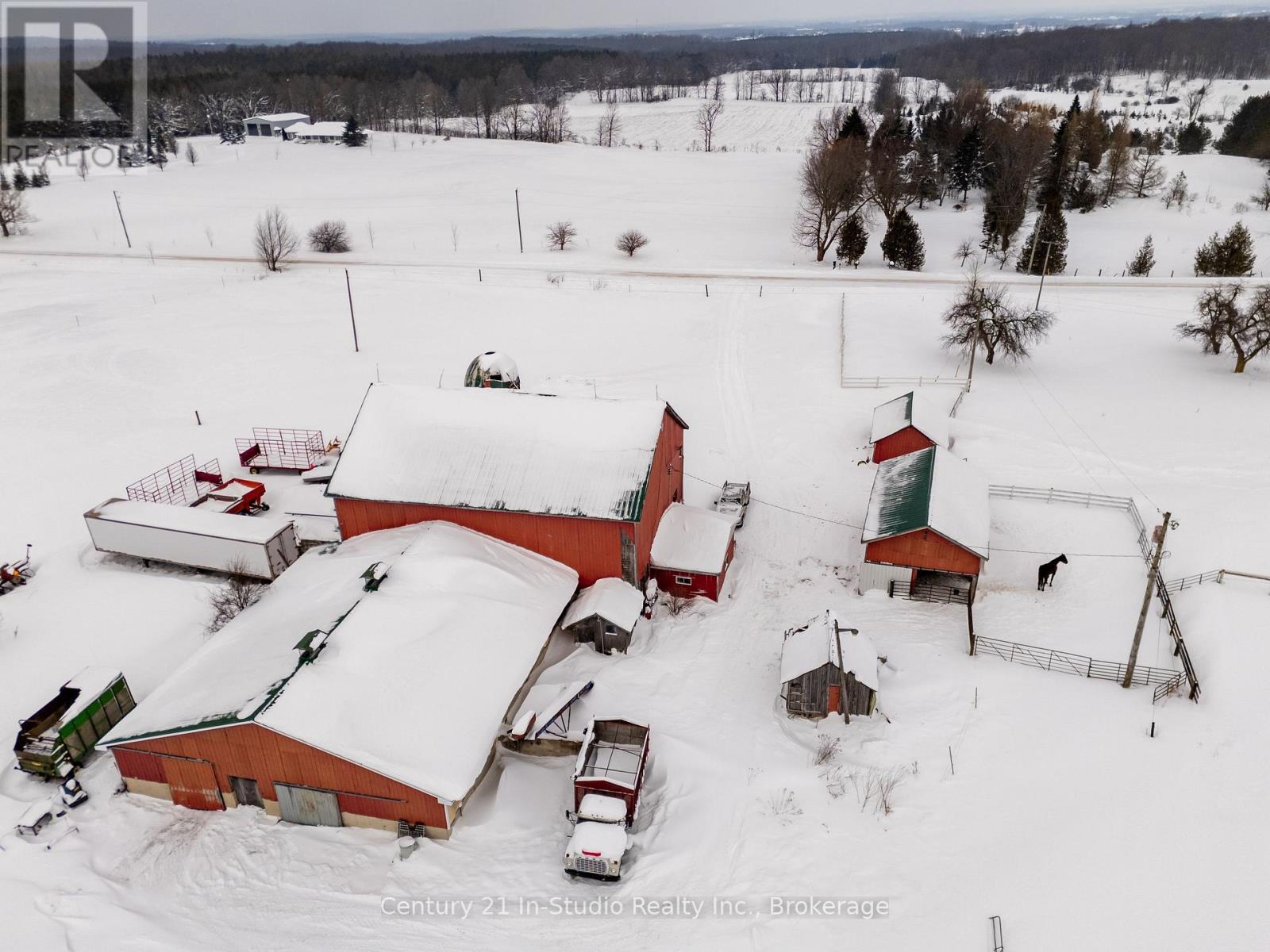 425158 Irish Lake Road, Grey Highlands, Ontario  N0C 1H0 - Photo 11 - X11939676