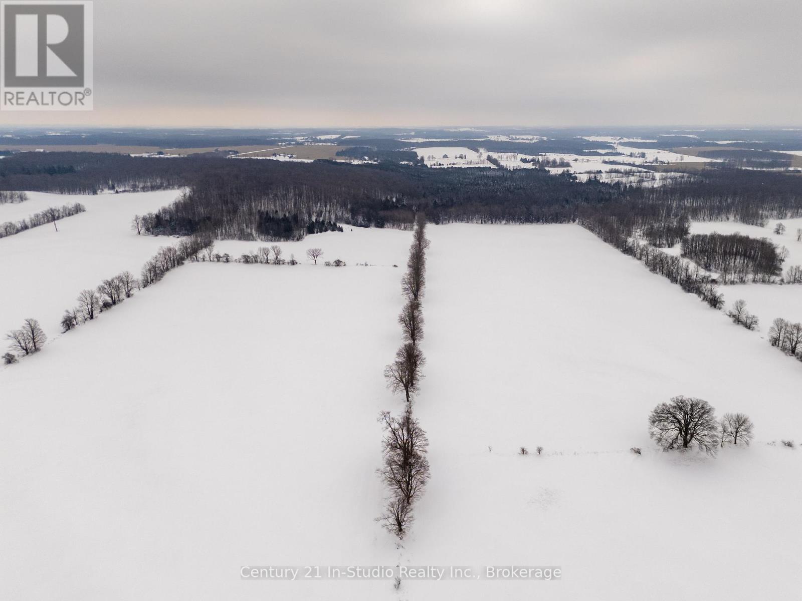 425158 Irish Lake Road, Grey Highlands, Ontario  N0C 1H0 - Photo 9 - X11939676