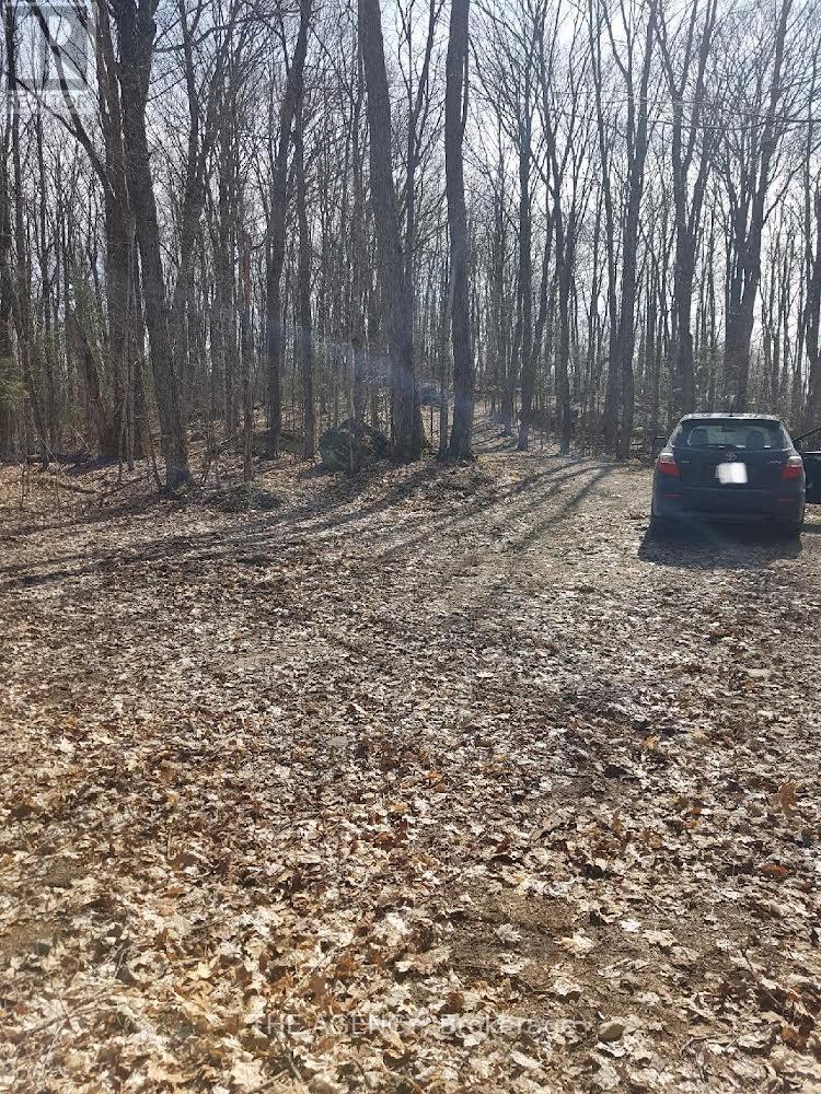Lot 22 Select Trail, Dysart Et Al, Ontario  K0M 1S0 - Photo 4 - X12012068