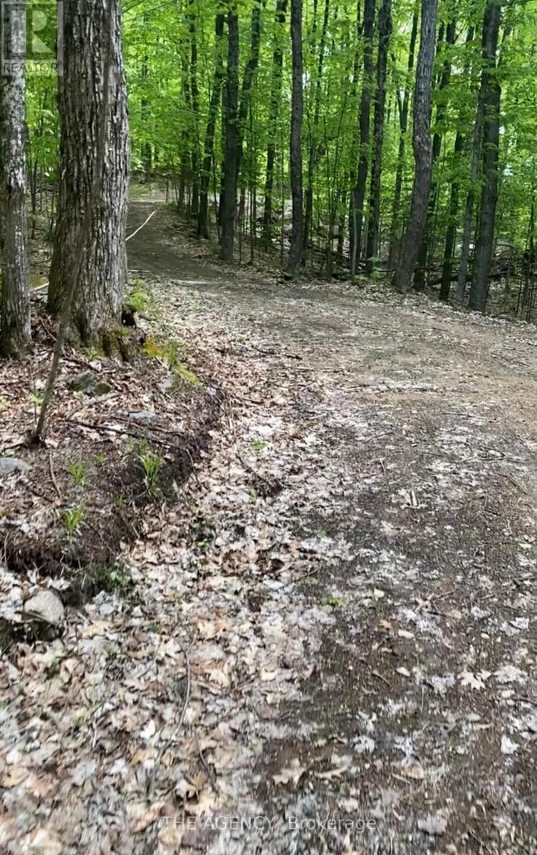 Lot 22 Select Trail, Dysart Et Al, Ontario  K0M 1S0 - Photo 7 - X12012068
