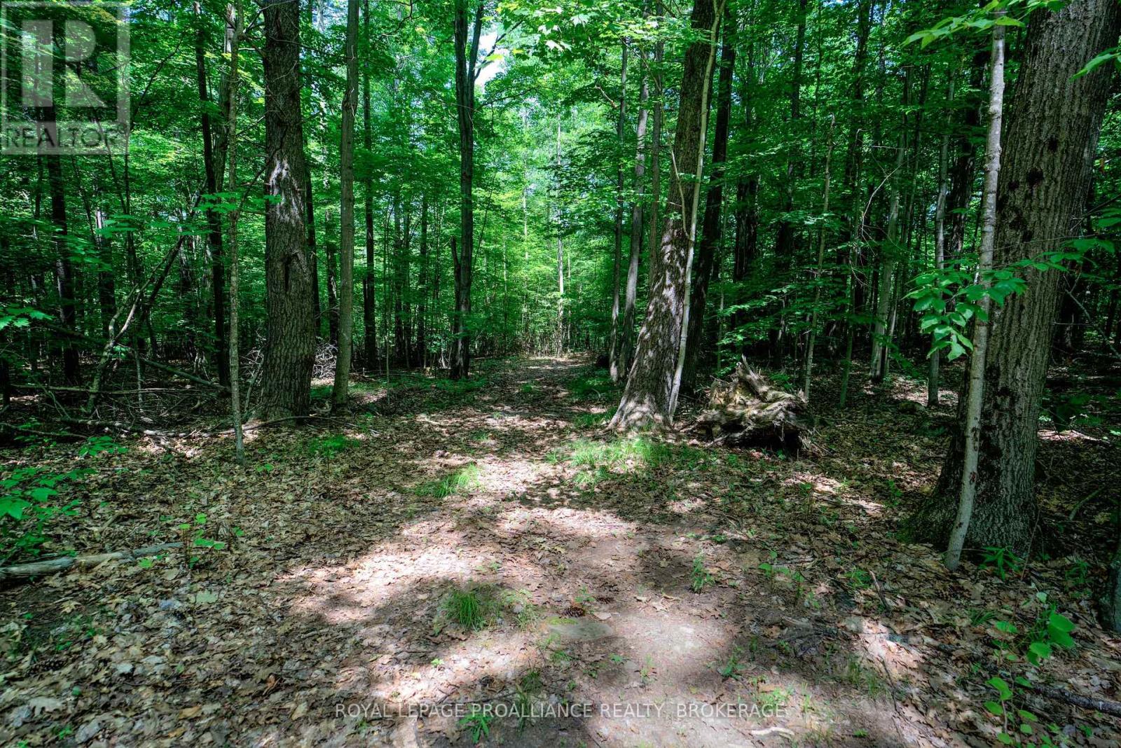 292 Marina Road, Rideau Lakes, Ontario  K0G 1E0 - Photo 37 - X12012552