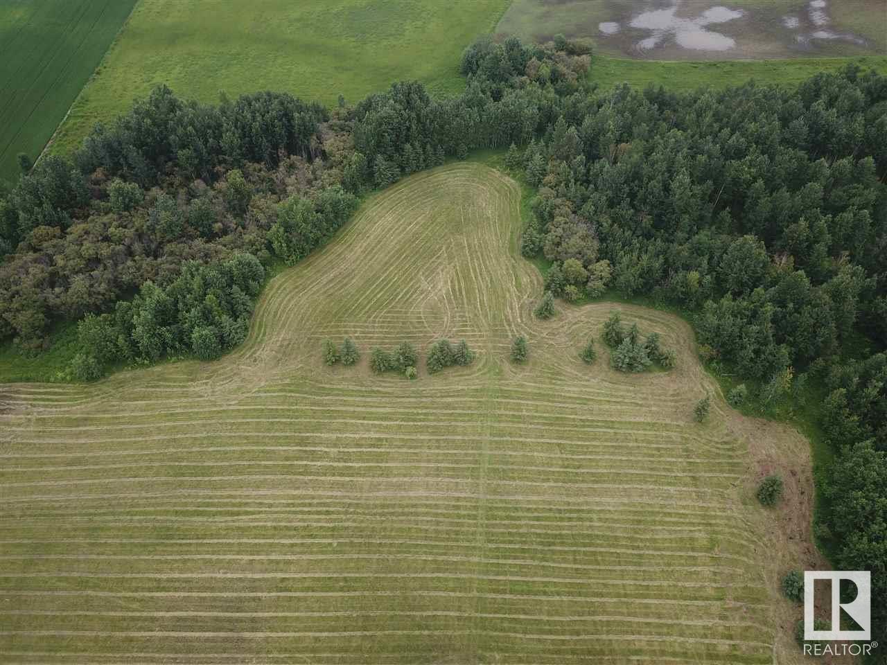 2 59229 Rr 265, Rural Westlock County, Alberta  T7P 2N4 - Photo 19 - E4425052