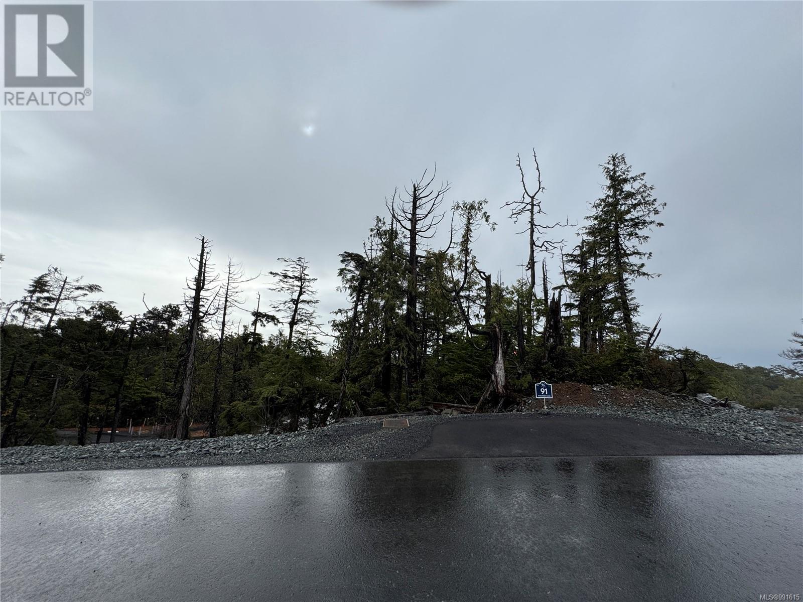 Lot 91 Raven Lane, Ucluelet, British Columbia  V0R 3A0 - Photo 2 - 991615